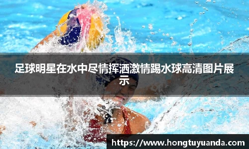 九游体育官网入口